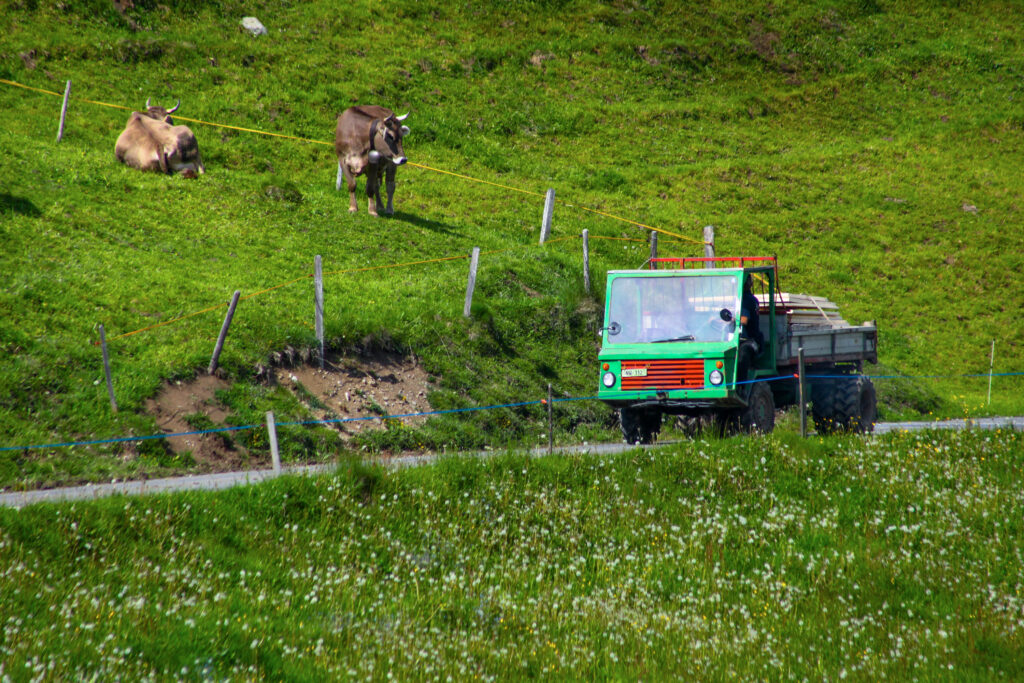 Rural Mobility