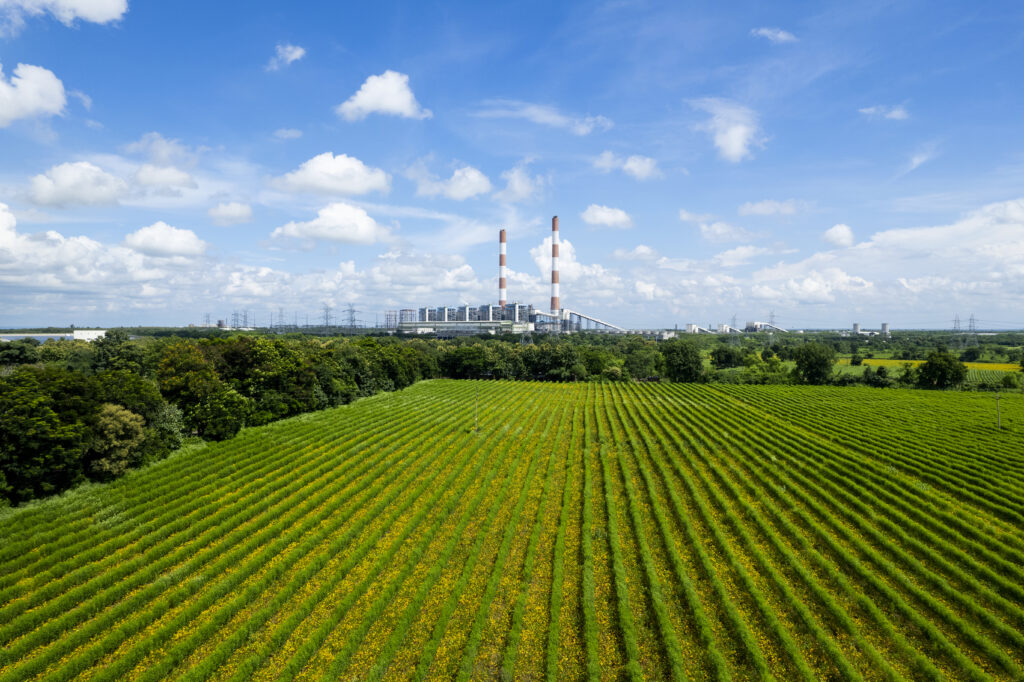 rural energy autonomy